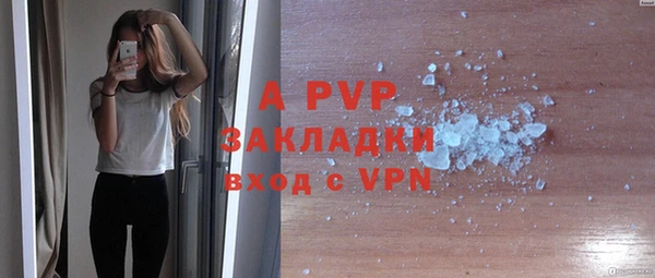 apvp Алзамай