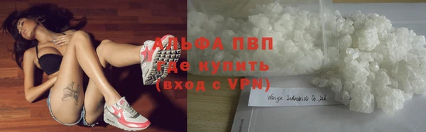 эйфоретик Алексин