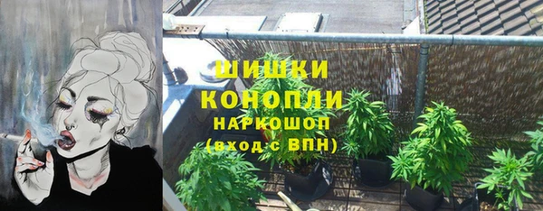 apvp Алзамай
