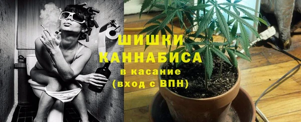 apvp Алзамай