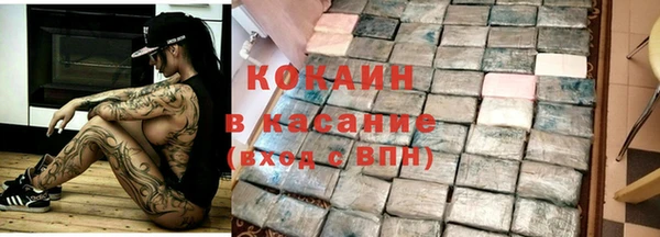 apvp Алзамай