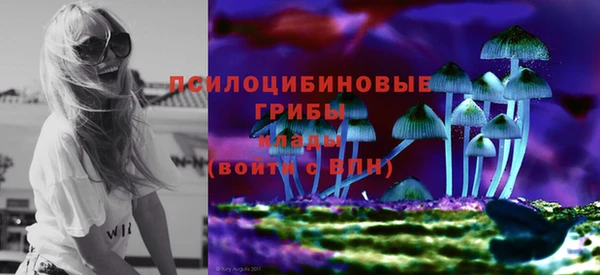 амф Алексеевка
