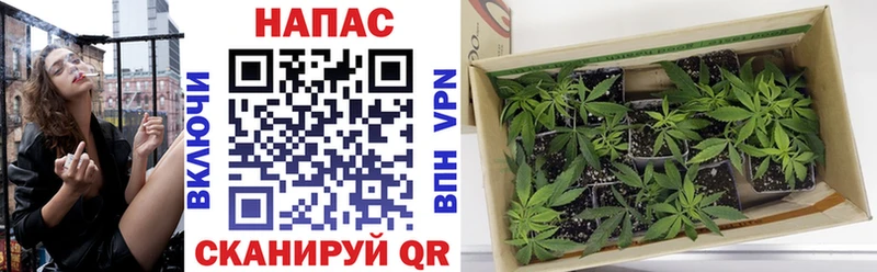 Канабис AK-47  Заозёрный 